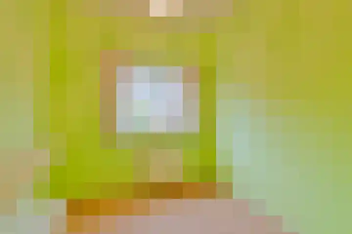 Refeling 28 Nuenen thumbnail 19