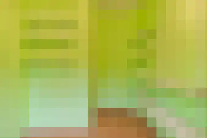 Refeling 28 Nuenen thumbnail 20