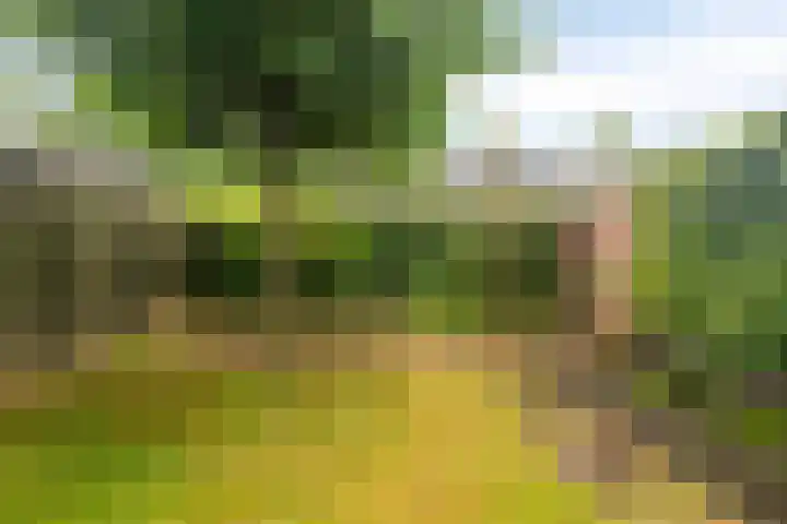 Refeling 28 Nuenen thumbnail 29