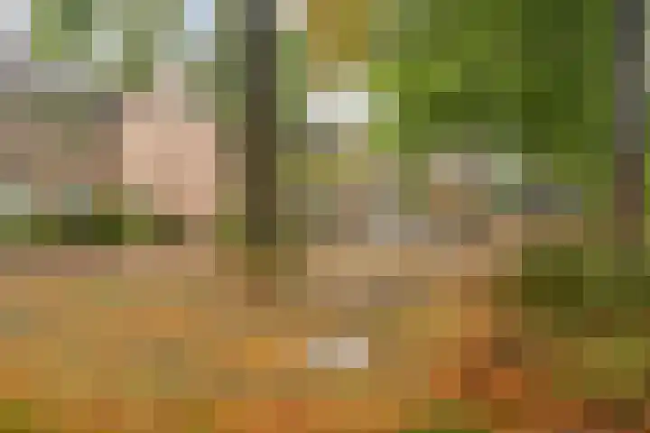 Refeling 28 Nuenen thumbnail 33