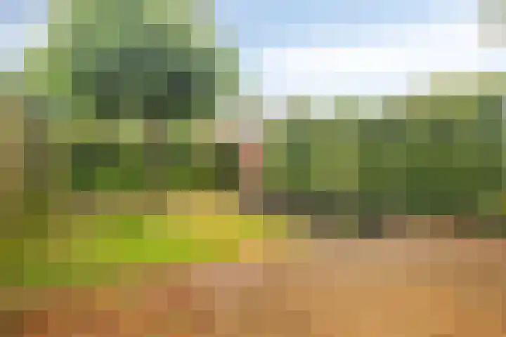 Refeling 28 Nuenen thumbnail 5