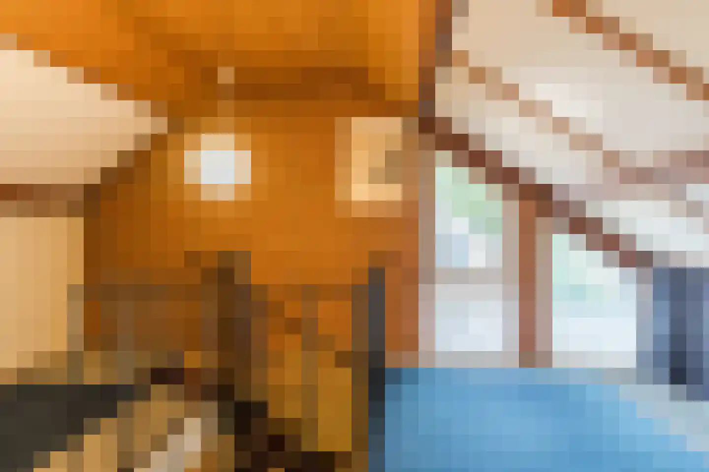 Refeling 43 Nuenen thumbnail 34