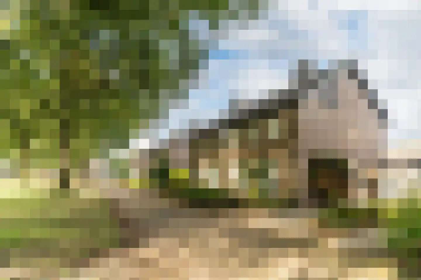 Refeling 43 Nuenen thumbnail 39