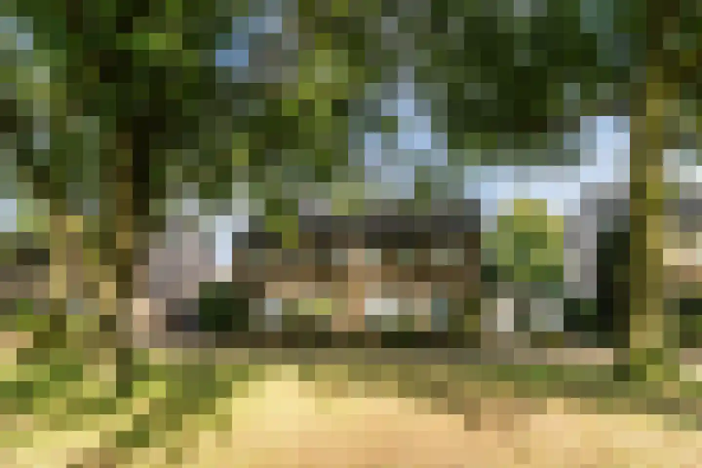 Refeling 43 Nuenen thumbnail 40