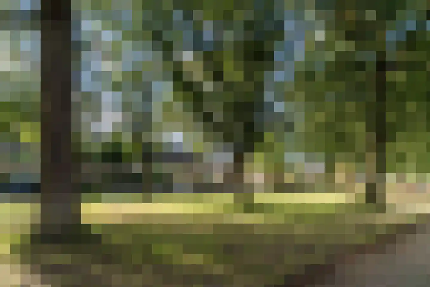 Refeling 43 Nuenen thumbnail 42