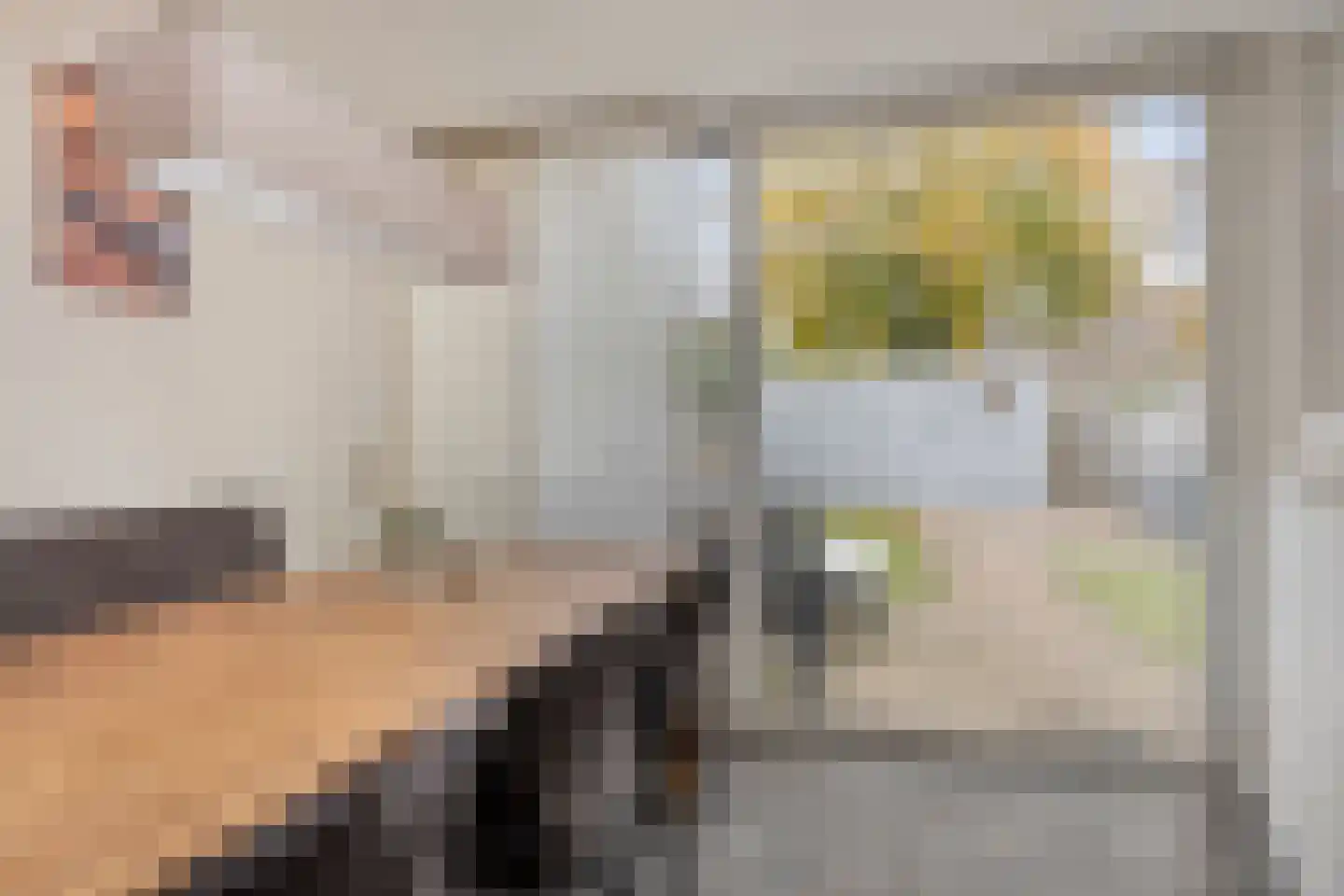 Refeling 56 Nuenen thumbnail 19