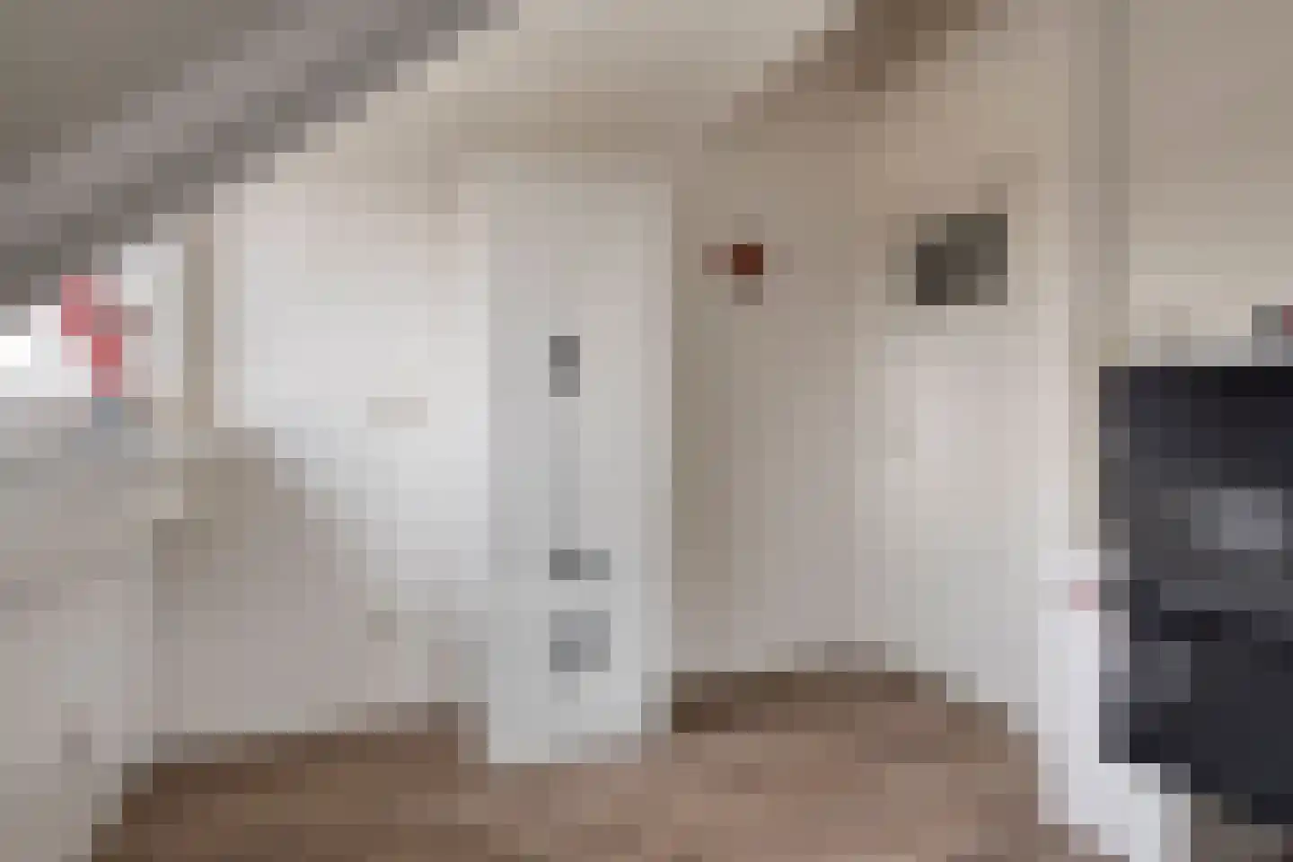 Refeling 56 Nuenen thumbnail 35