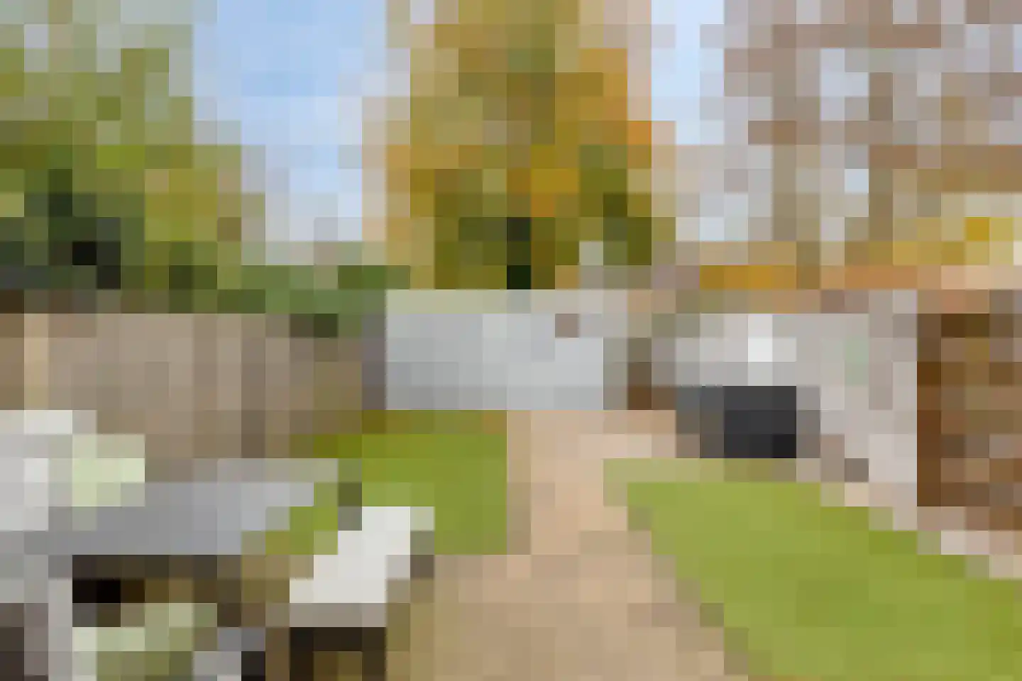 Refeling 56 Nuenen thumbnail 39