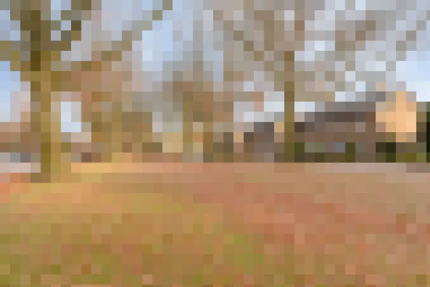 Refeling 56 Nuenen thumbnail 43