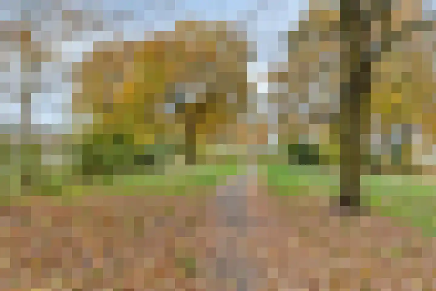 Refeling 56 Nuenen thumbnail 45
