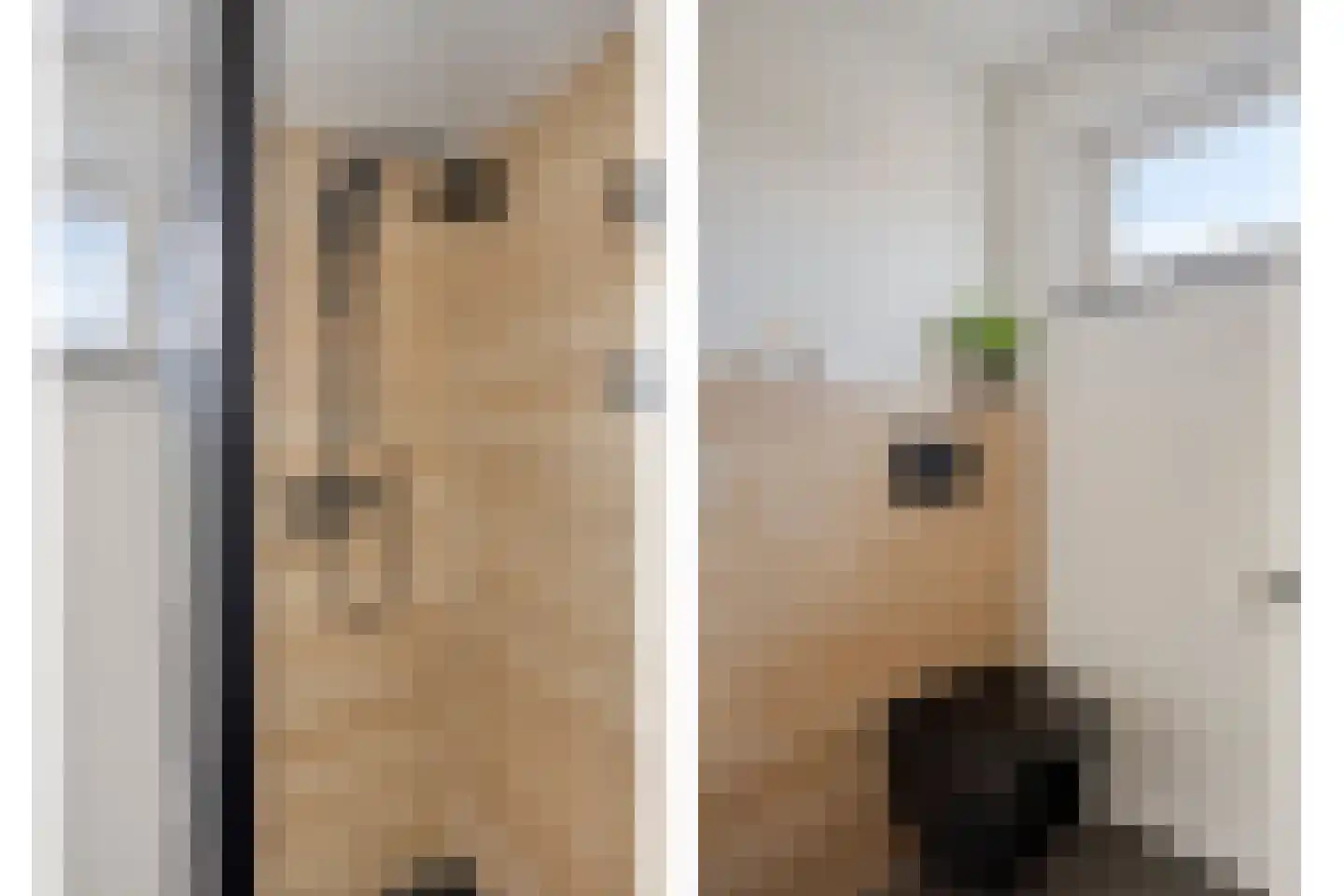 Refelingse Erven 129 Nuenen thumbnail 11
