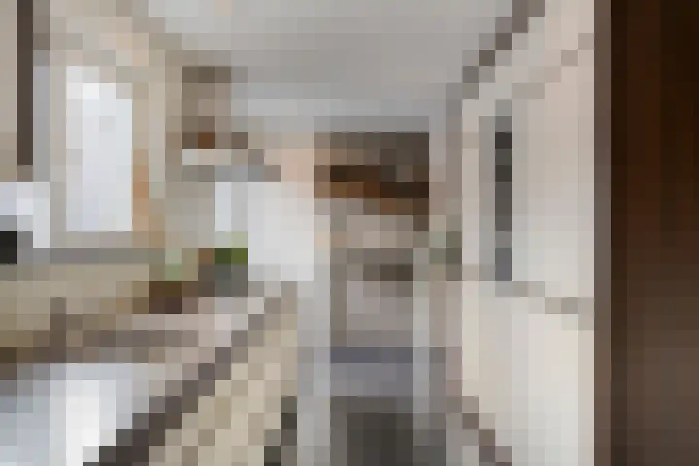 Refelingse Erven 129 Nuenen thumbnail 22