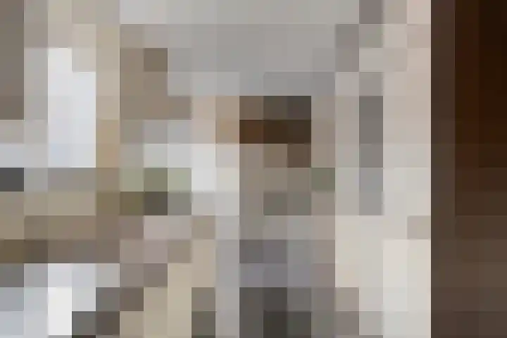 Refelingse Erven 129 Nuenen thumbnail 22