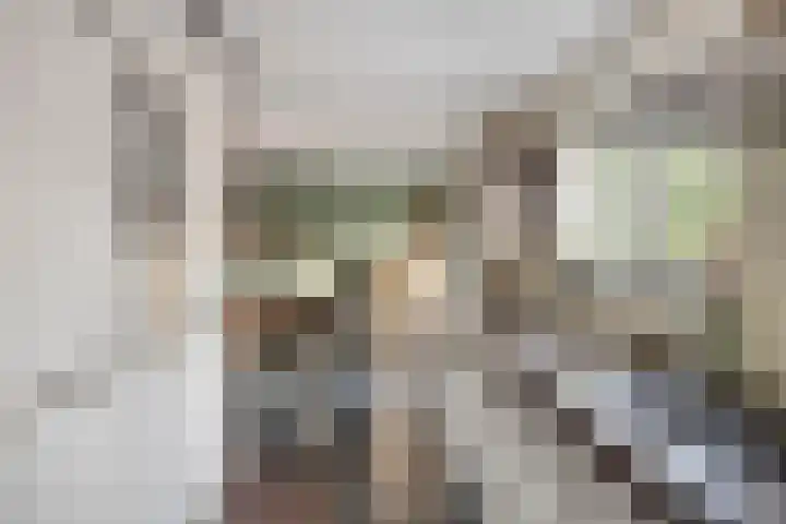 Refelingse Erven 129 Nuenen thumbnail 23