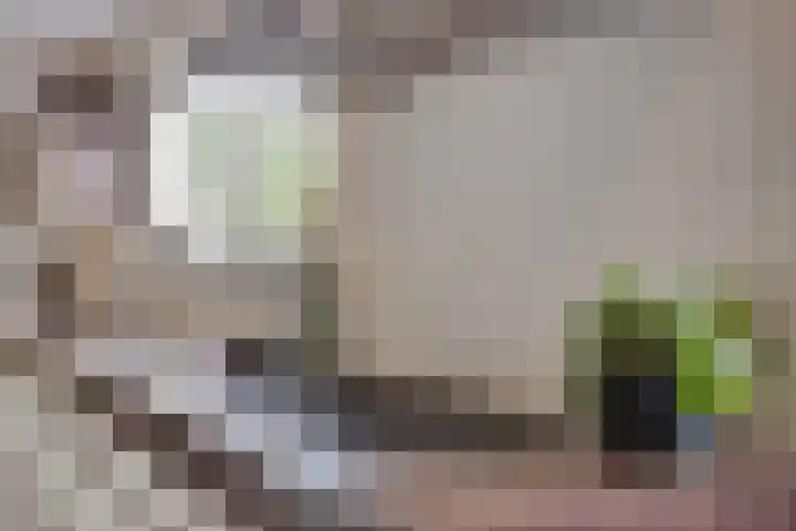 Refelingse Erven 129 Nuenen thumbnail 24