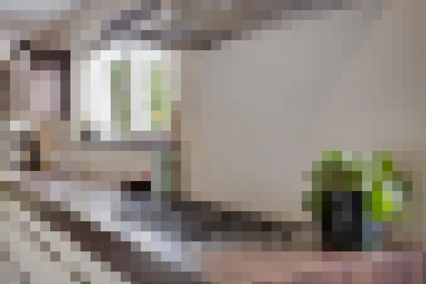 Refelingse Erven 129 Nuenen thumbnail 24