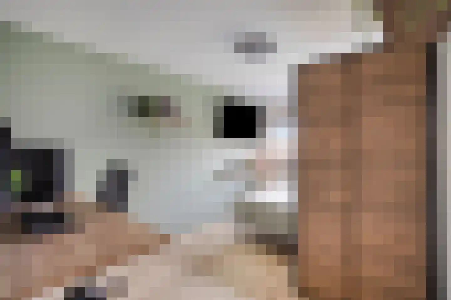 Refelingse Erven 129 Nuenen thumbnail 35