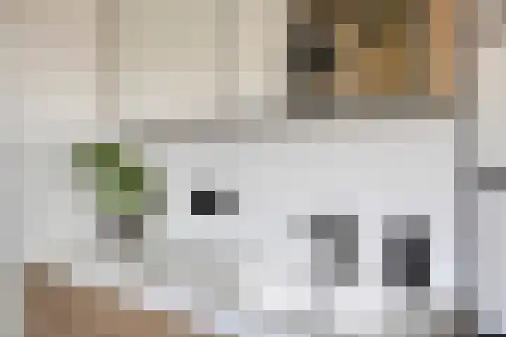 Refelingse Erven 129 Nuenen thumbnail 38