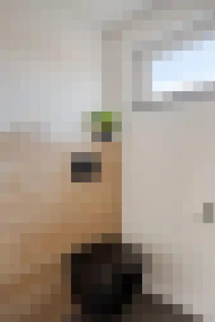 Refelingse Erven 129 Nuenen thumbnail 40