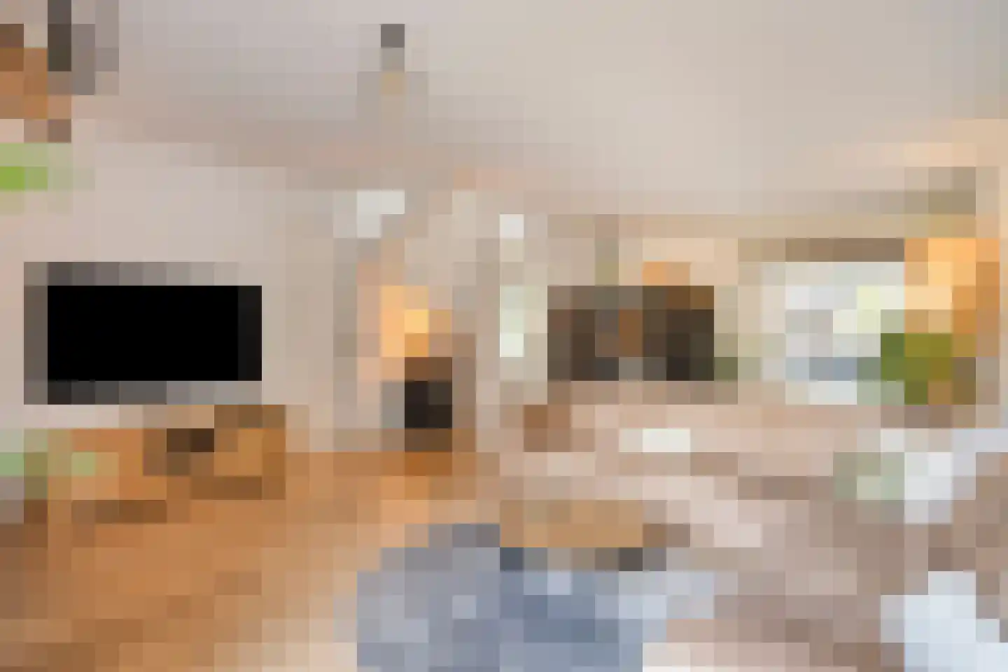 Refelingse Erven 129 Nuenen thumbnail 5