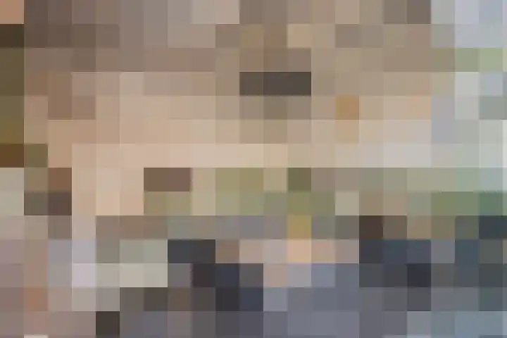 Refelingse Erven 129 Nuenen thumbnail 50