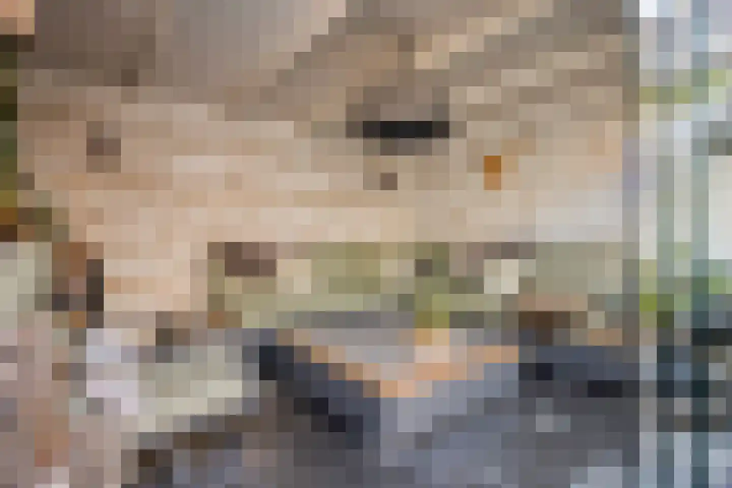 Refelingse Erven 129 Nuenen thumbnail 50