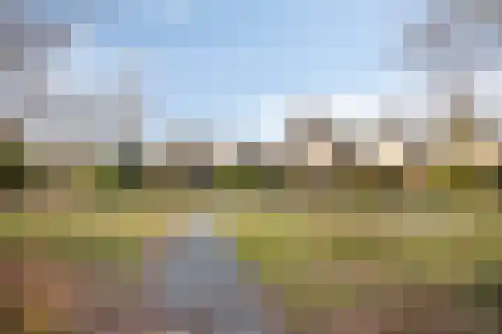 Refelingse Erven 129 Nuenen thumbnail 53