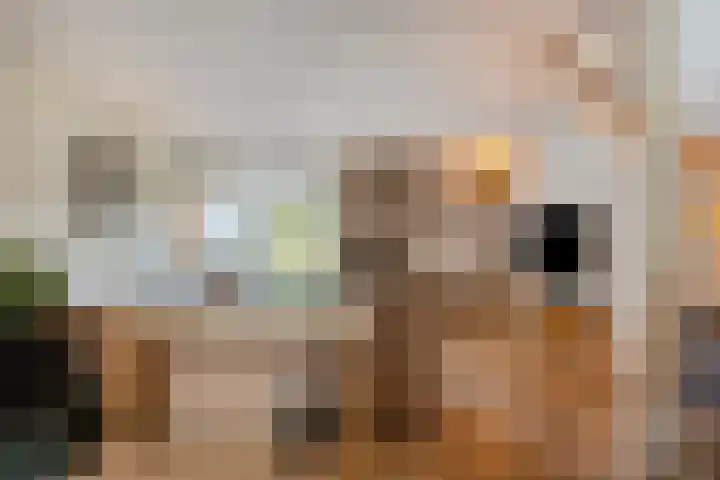 Refelingse Erven 129 Nuenen thumbnail 7