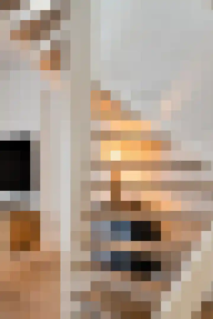 Refelingse Erven 129 Nuenen thumbnail 9