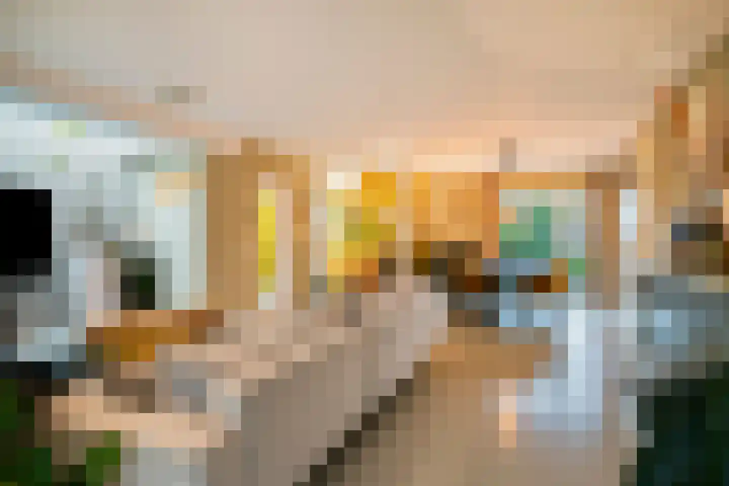 Refelingse Erven 17 Nuenen thumbnail 12