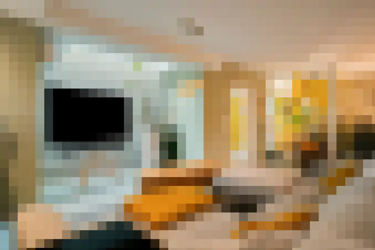 Refelingse Erven 17 Nuenen thumbnail 13