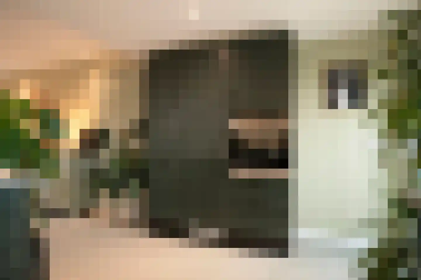 Refelingse Erven 17 Nuenen thumbnail 22