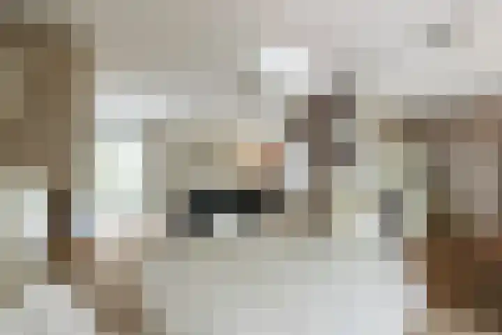Refelingse Erven 28 Nuenen thumbnail 10