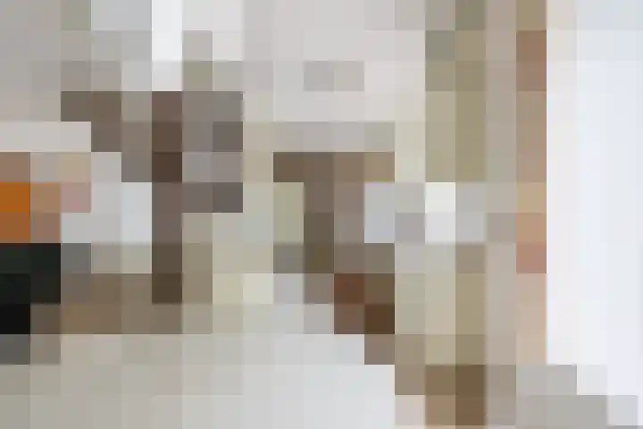 Refelingse Erven 28 Nuenen thumbnail 11