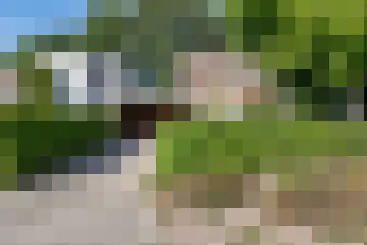 Refelingse Erven 28 Nuenen thumbnail 4