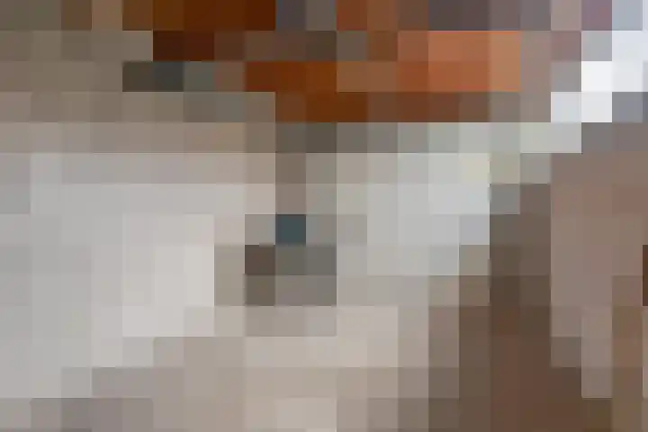 Refelingse Erven 66 Nuenen thumbnail 13