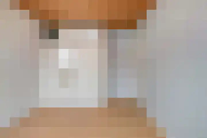 Refelingse Erven 66 Nuenen thumbnail 15