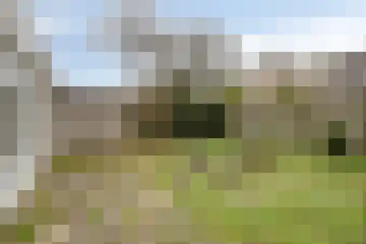 Refelingse Erven 66 Nuenen thumbnail 21