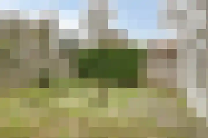 Refelingse Erven 66 Nuenen thumbnail 22