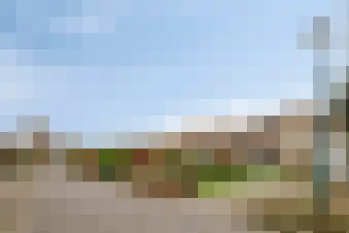 Refelingse Erven 66 Nuenen thumbnail 24