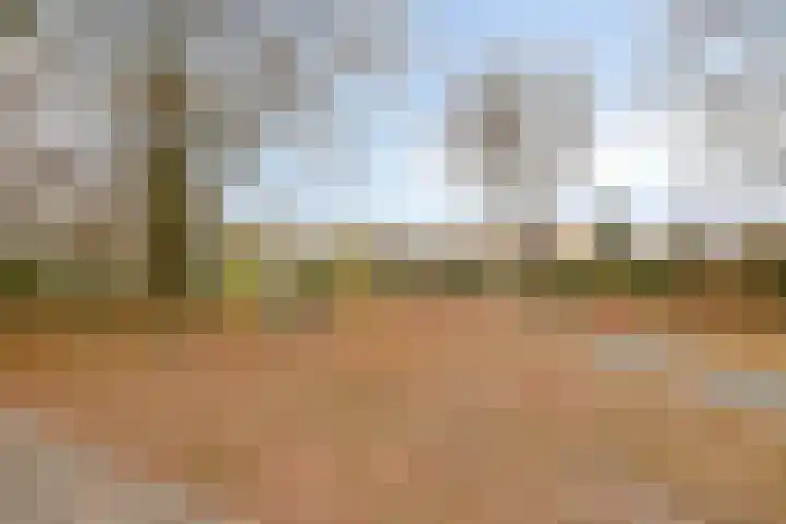 Refelingse Erven 66 Nuenen thumbnail 25