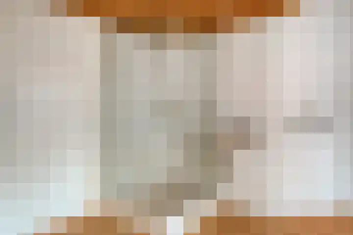 Refelingse Erven 66 Nuenen thumbnail 9