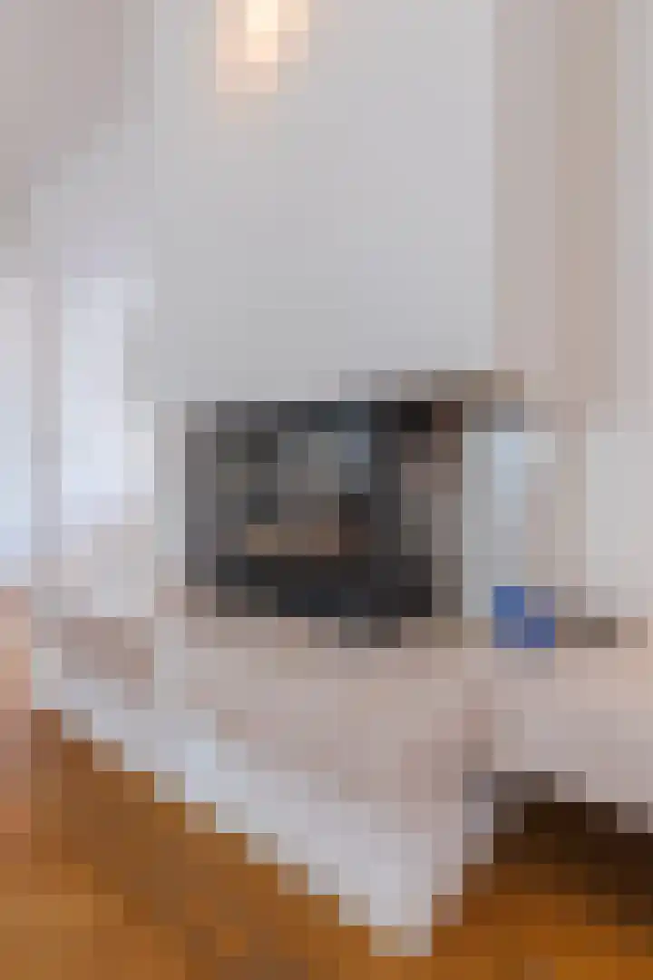 Refelingse Erven 91 Nuenen thumbnail 16