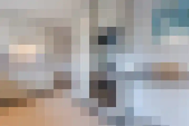 Refelingse Erven 91 Nuenen thumbnail 20