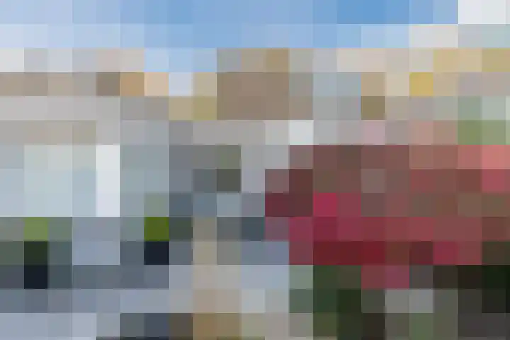 Refelingse Erven 91 Nuenen thumbnail 31
