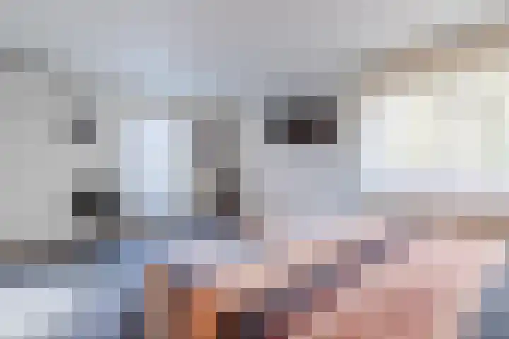 Refelingse Erven 91 Nuenen thumbnail 35