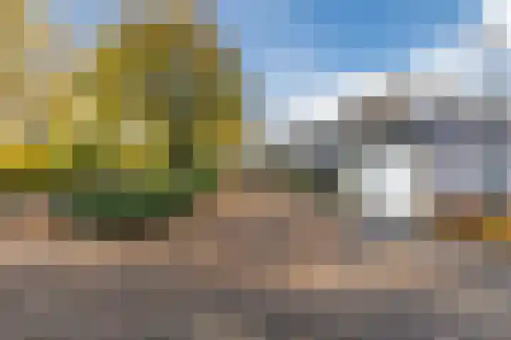 Refelingse Erven 91 Nuenen thumbnail 5