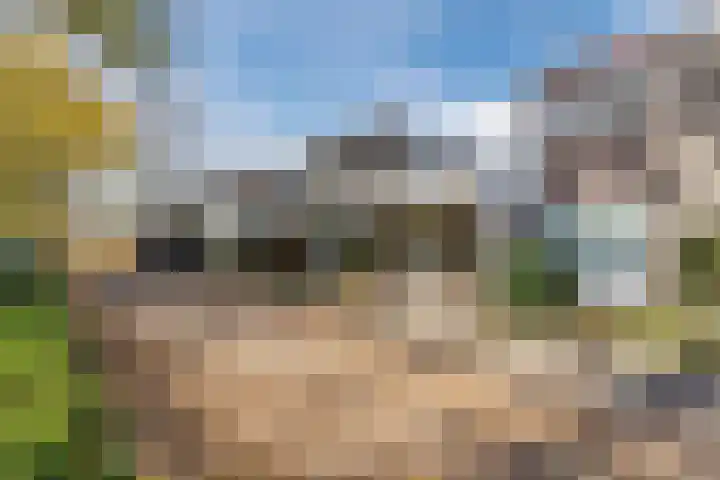 Refelingse Erven 91 Nuenen thumbnail 6