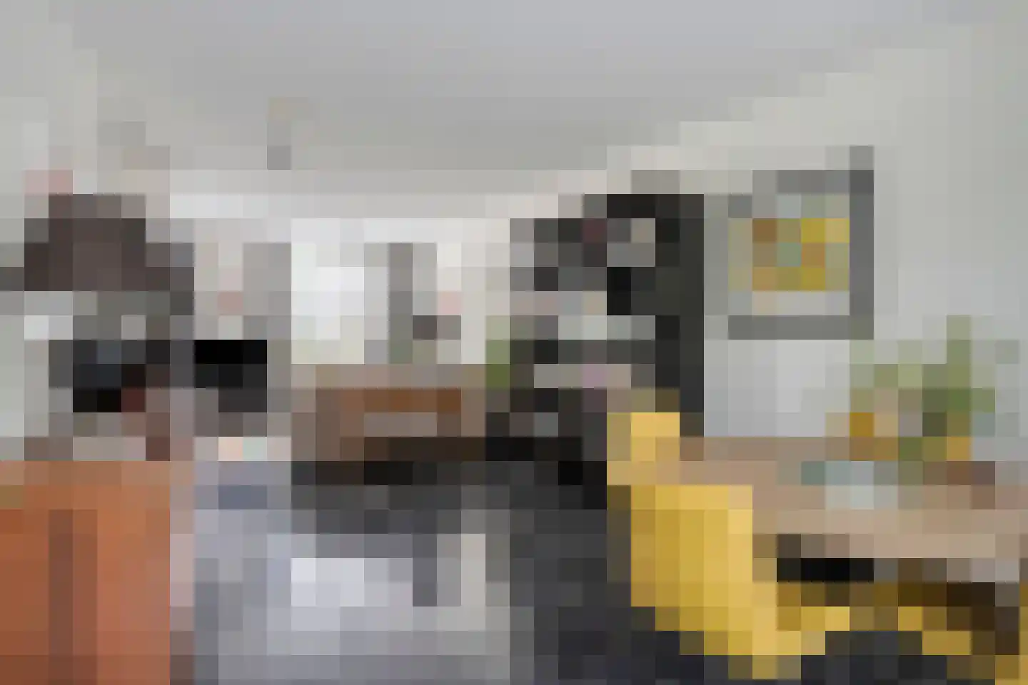 Refreinstraat 15 Rosmalen thumbnail 10