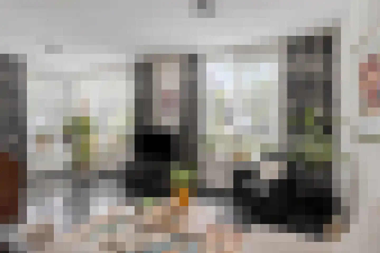 Refreinstraat 15 Rosmalen thumbnail 11
